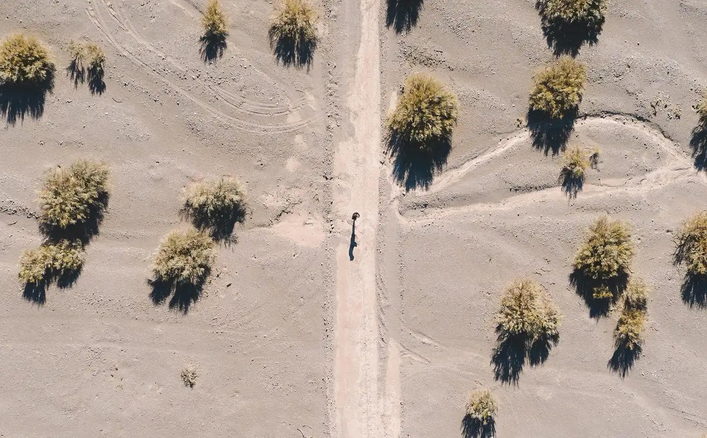 paisaje