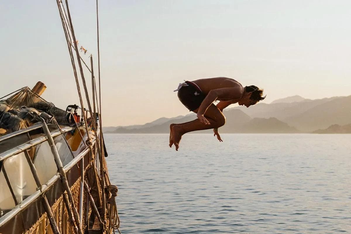 IATI Travel Days (Verão)