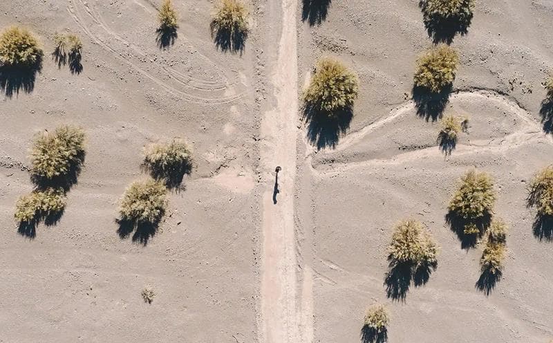 paisaje
